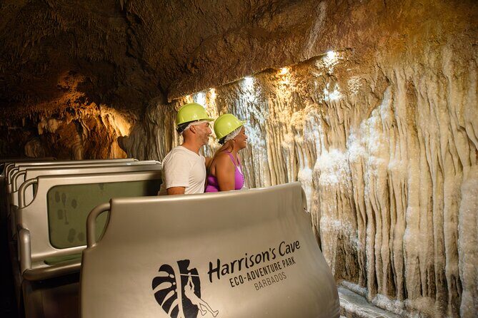 Bajan Nature Art Tour: Flower Forest, Pottery and Cave Adventure - FAQ