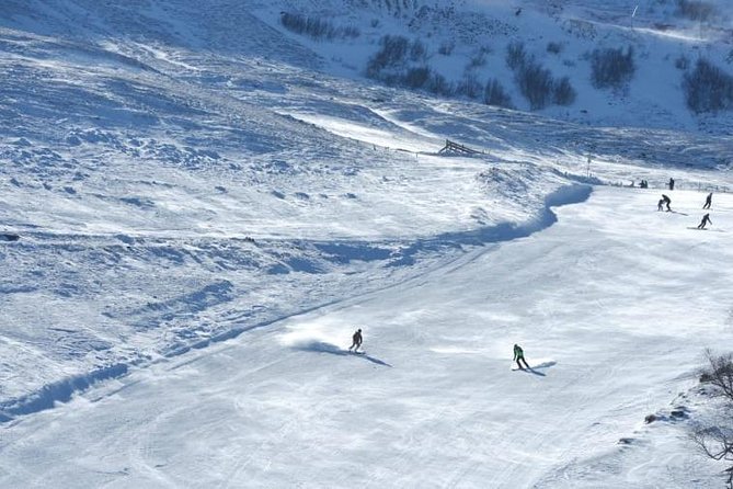 Bakuriani-Borjomi Full Day Trip - Pickup Information