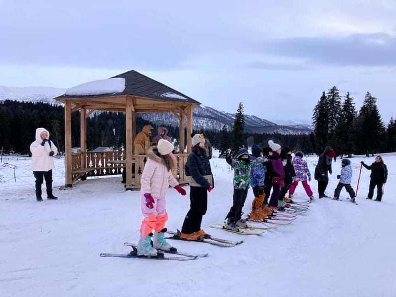 Bakuriani: Private or group Ski Lesson - Key Points