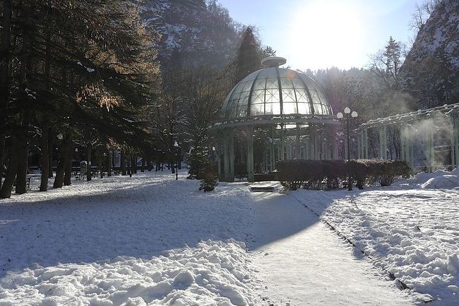 Bakuriani Ski Resort and the Legendary Borjomi (Group Tour) - Customer Support