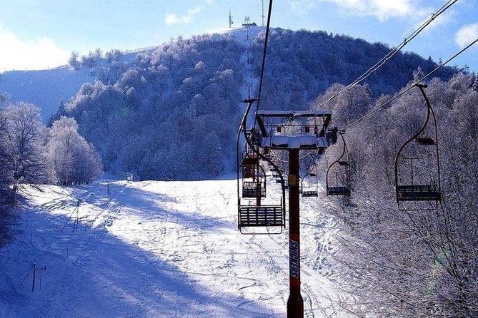 Bakuriani Ski Resort and the Legendary Borjomi (Group Tour) - Tour Reviews and Pricing