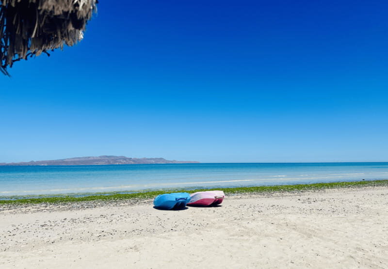 Balandra and Tecolote Beaches Day Trip with Lunch - Practical Tips for Travelers