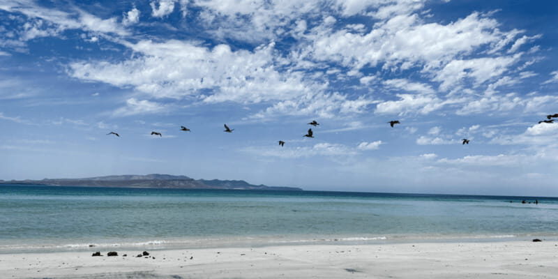 Balandra and Tecolote Beaches Day Trip with Lunch - Authentic Insights and Traveler Feedback