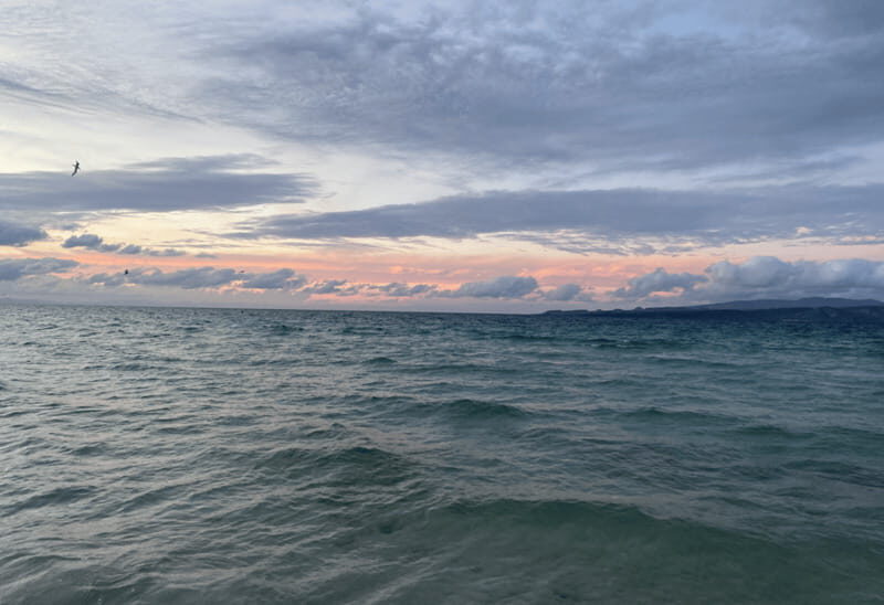 Balandra and Tecolote Beaches Day Trip with Lunch - Who Should Consider This Tour?