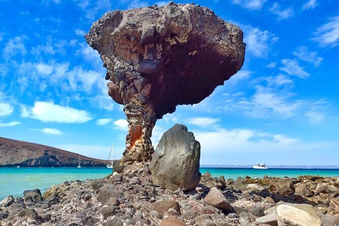 Balandra and Todos Santos Beach Tour from Los Cabos - A Deep Dive into the Tour Experience