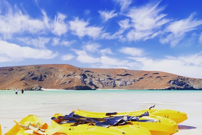 Balandra and Todos Santos Beach Tour from Los Cabos - Final Thoughts
