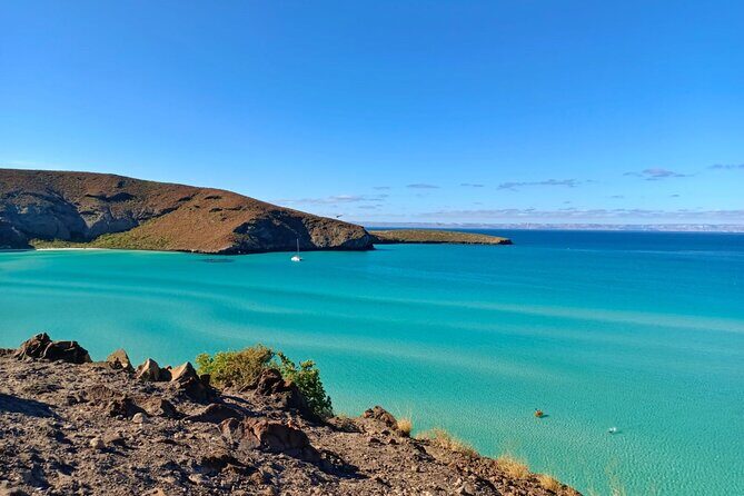 Balandra and Todos Santos Beach Tour from Los Cabos - FAQ