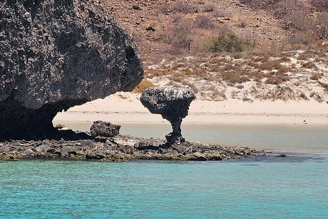 Balandra Bay Private Snorkeling and Sea Lions - Setting Off from La Paz: What to Expect