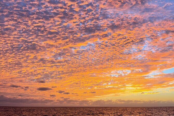 Balandra Beach and Sea Lions Private Tour - What Travelers Are Saying (Based on Reviews)