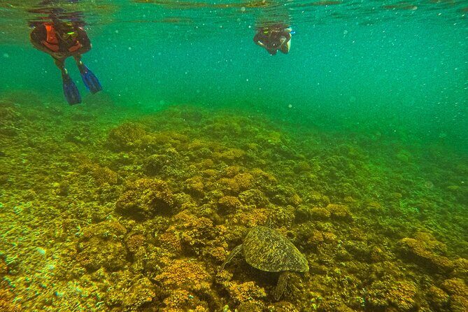 Balandra Beach Escape Snorkel & Wildlife Roundtrip Pichilingue - The Itinerary in Detail