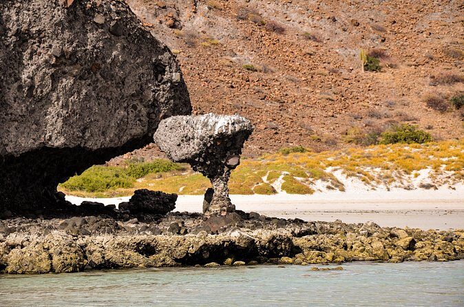 Balandra Beach Escape Snorkel & Wildlife Roundtrip Pichilingue - Who Is This Tour Best For?