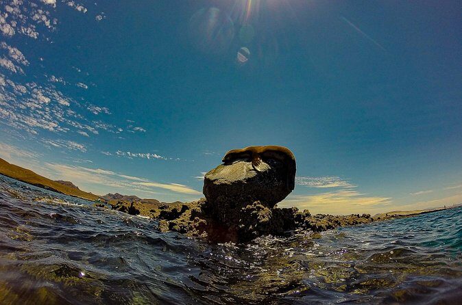 Balandra Beach Escape Snorkel & Wildlife Roundtrip Pichilingue - Final Thoughts