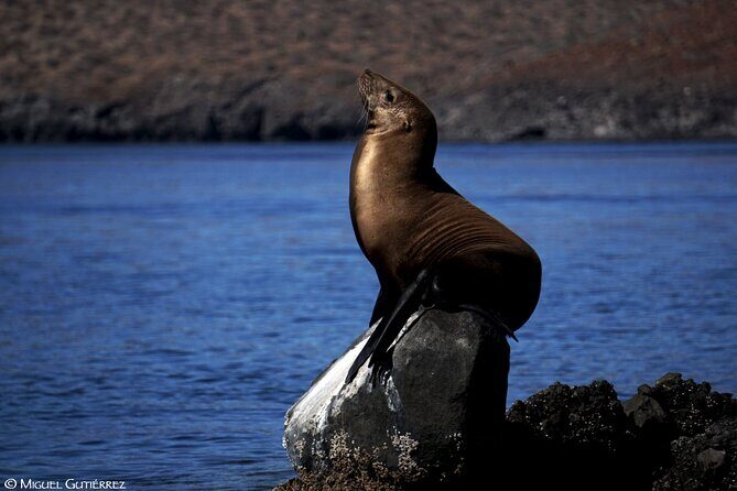 Balandra Private Boat Tour - A Close Look at the Itinerary