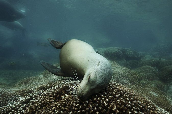 Balandra Private Boat Tour - Duration and Logistics