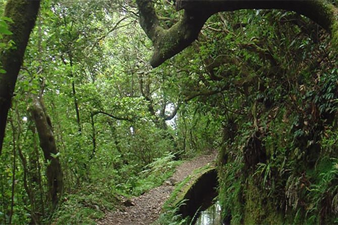 Balcões Walk & A-Framed Houses Tour - Booking Details