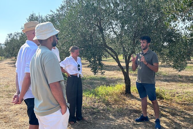Balestrate Olive Grove Tour: Wine and Olive Oil Tasting - Tour Highlights