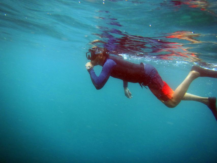 Bali: 1 Hour Snorkeling at Nusa Dua Beach - Inclusions and Exclusions