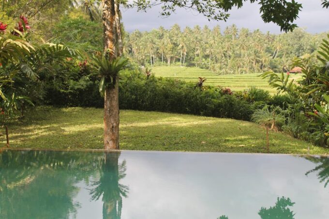 Bali: 2-Day Food Tour With Cooking Class and Market Visit - Reserve Now & Pay Later
