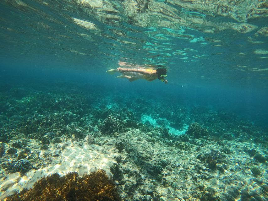 Bali: 2 Spot Snorkeling, The Monkey Bar & Best Waterfalls - Key Points
