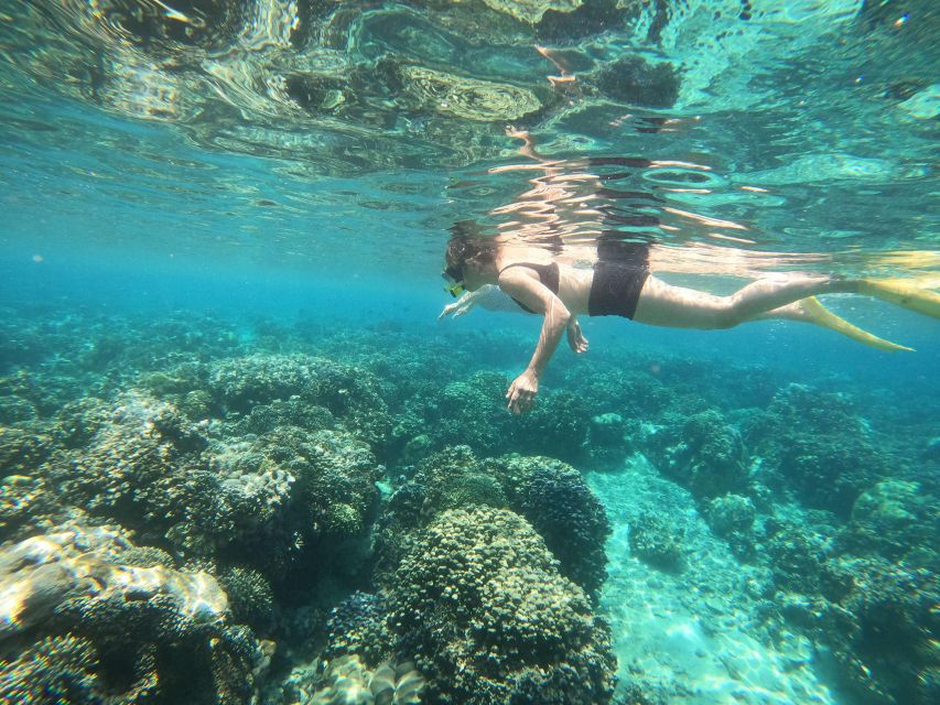 Bali: 2 Spot Snorkeling, The Monkey Bar & Best Waterfalls - Pickup and Drop-off Locations
