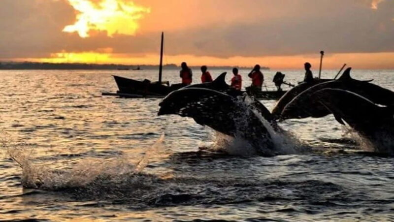 Bali: 3-Day North Bali Tour with Dolphin Watching - Key Points