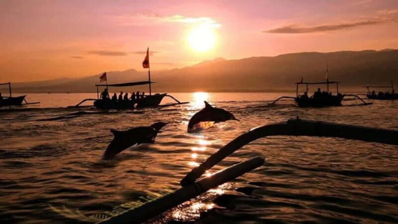 Bali: 3-Day North Bali Tour with Dolphin Watching - Final Thoughts: Is This Tour Right for You?
