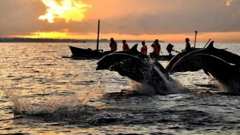 Bali: 3-Day North Bali Tour with Dolphin Watching - FAQ