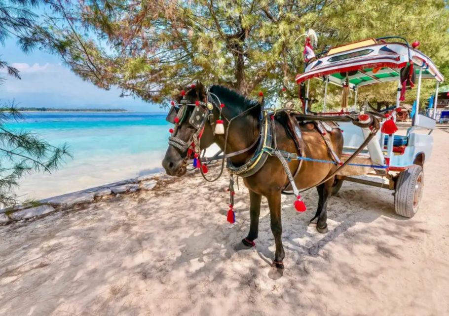 Bali: 3-Day Private Gili Islands Snorkel Tour With Hotel - Included in the Tour