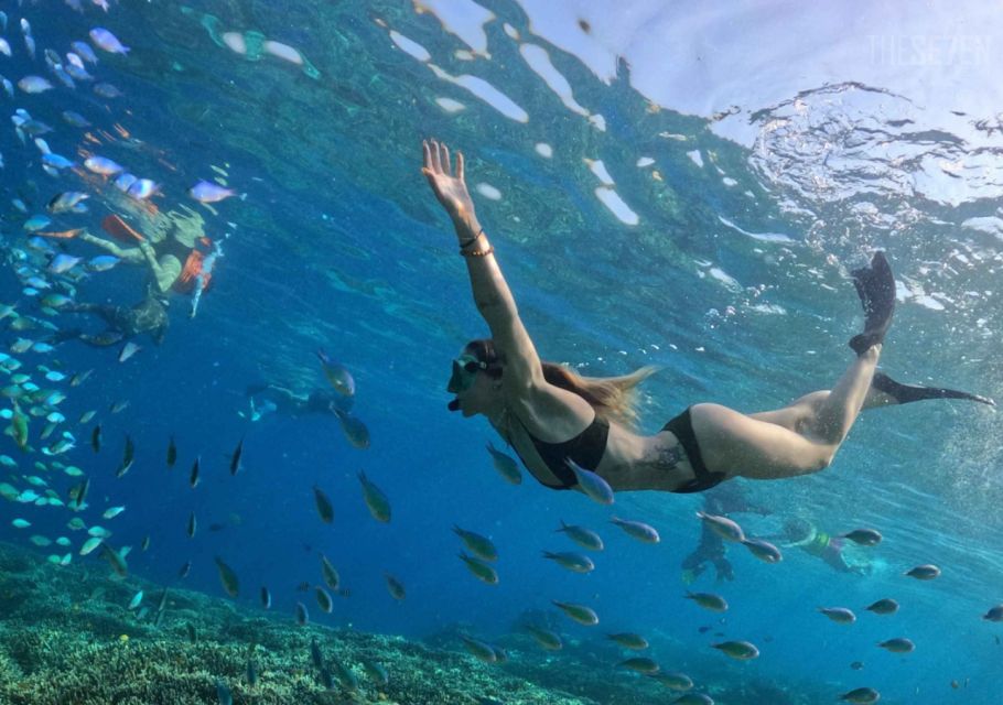 Bali: 3-Day Private Gili Islands Snorkel Tour With Hotel - Important Information