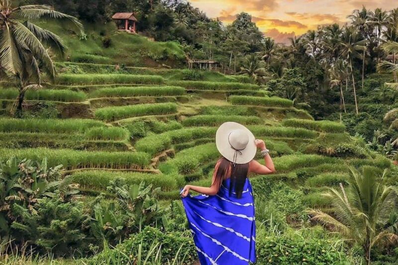 Bali: 3-Day Private Tour With Temples, Waterfalls & More - Day 3: Northern Balis Natural Beauty