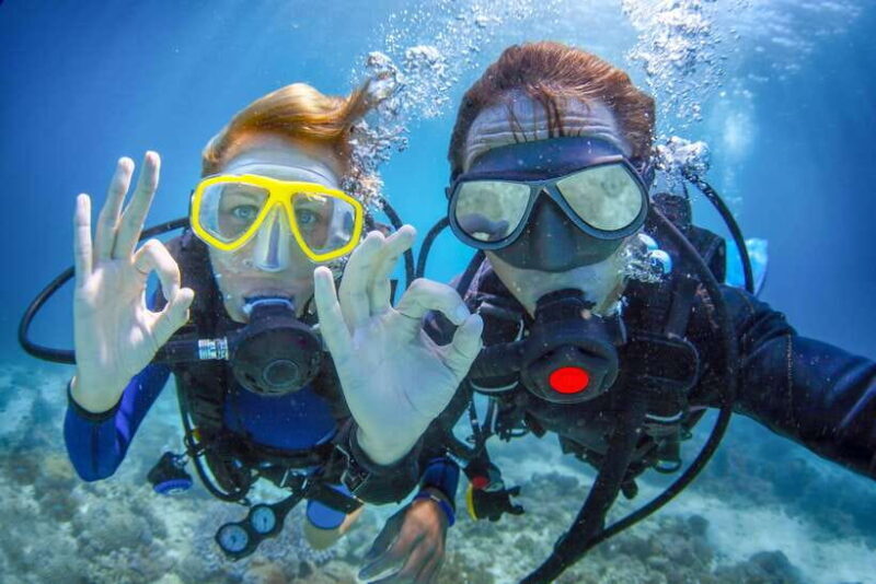 Bali: 3-Days PADI Open Water Diving Course - What Makes This Course Special?