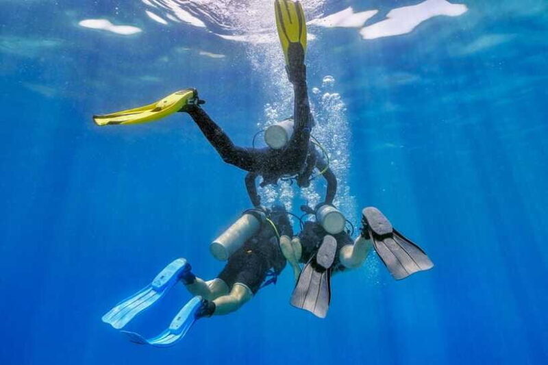 Bali: 3-Days PADI Open Water Diving Course - The Experience: What You’ll Feel and See