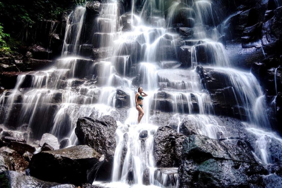 Bali: 3 Waterfalls and Tegalalang Rice Terrace Private Tour - Inclusions