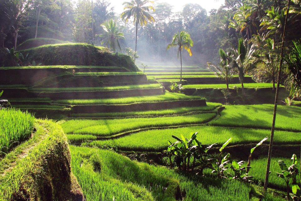 Bali: 3 Waterfalls and Tegalalang Rice Terrace Private Tour - Kanto Lampo Waterfall