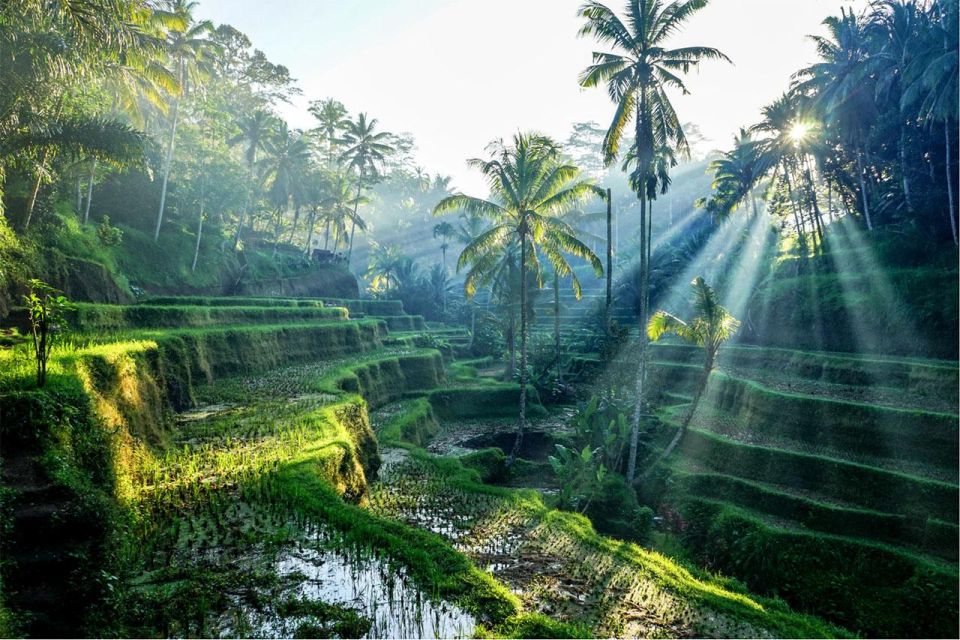Bali: 4 Hours Short Customize Sightseeing Tour/Ubud/Uluwatu - Main Stops and Attractions