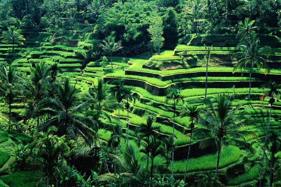 Bali: 4 Hours Short Customize Sightseeing Tour/Ubud/Uluwatu - Inclusions and Exclusions