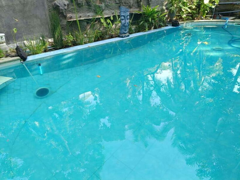 Bali: 5-Day North Bali Coastal Wine & Dolphin Tour Package - FAQ