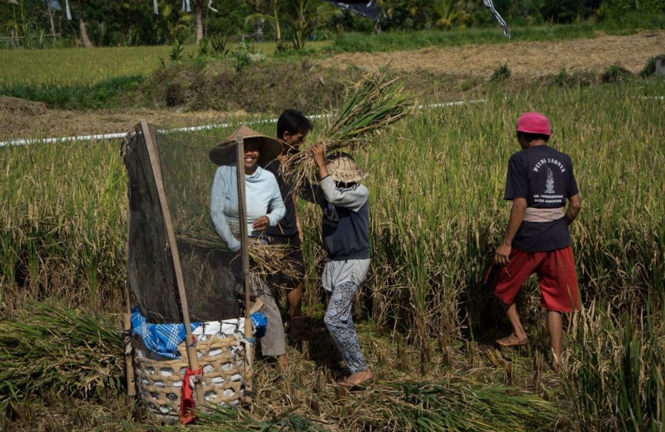 Bali: 6-Hour UNESCO Sites Cultural Walking Tour - Key Highlights