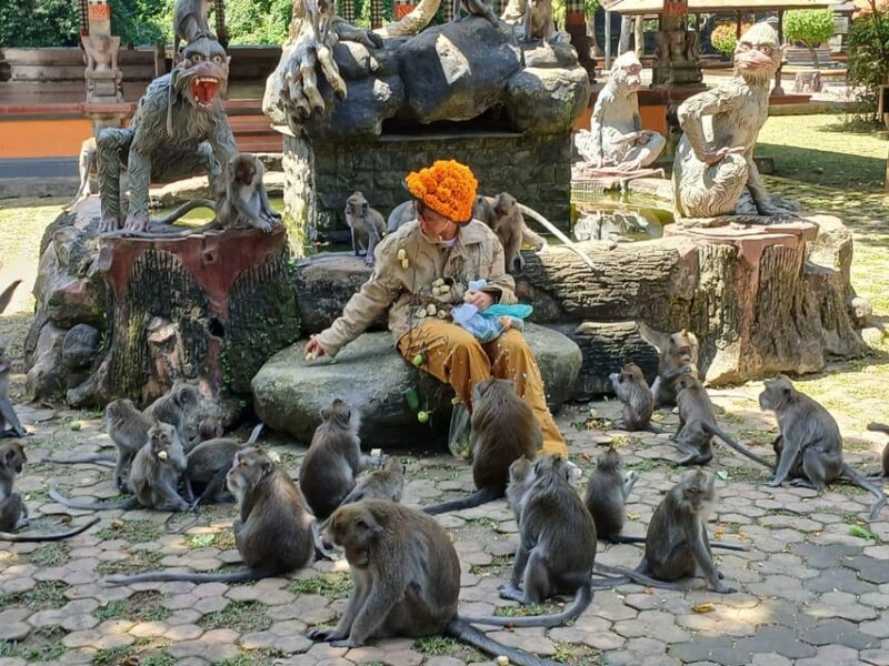 Bali: Adrenaline Fun Youtuber Feeding Monkey on Your Body - Participant Suitability