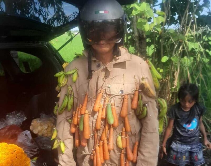 Bali: Adrenaline Fun Youtuber Feeding Monkey on Your Body - Recommended Attire