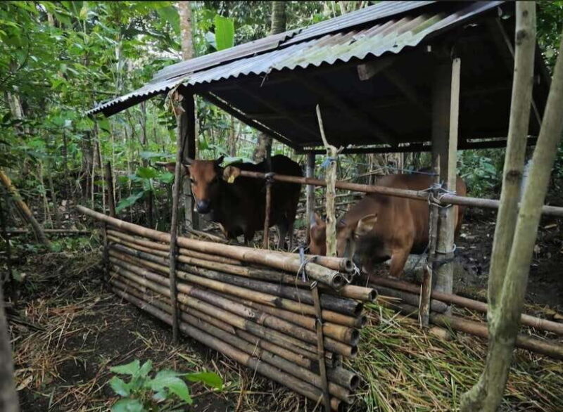 Bali: Agricultural Adventure Private Tour - The Value and Practicalities