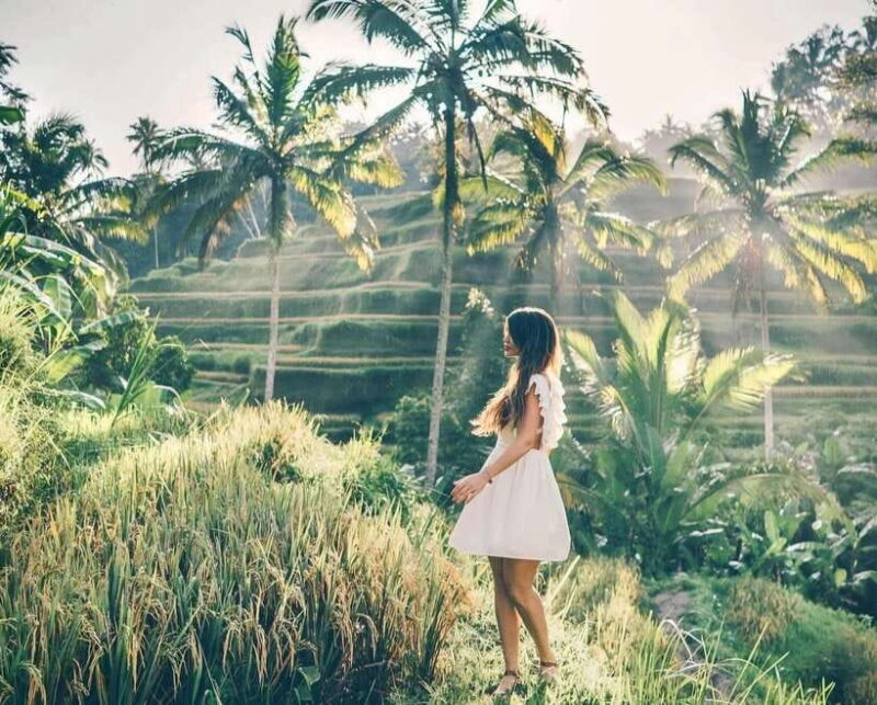 Bali: Agricultural Adventure Private Tour - Who Will Enjoy This Tour?