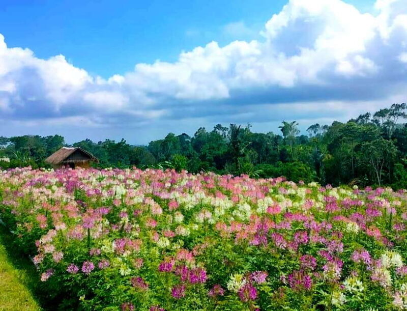 Bali: Agricultural Adventure Private Tour - The Sum Up
