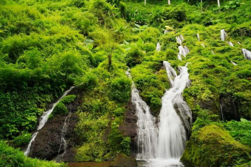 Bali: Agricultural Adventure Private Tour - FAQ