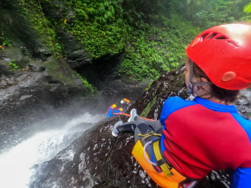 Bali: Alam Canyon The Natural Canyoning Adventure - Stunning Jungle Scenery