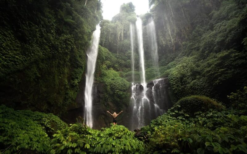 Bali: Aling Aling Waterfall and Sekumpul Waterfall Tour - Experience Highlights