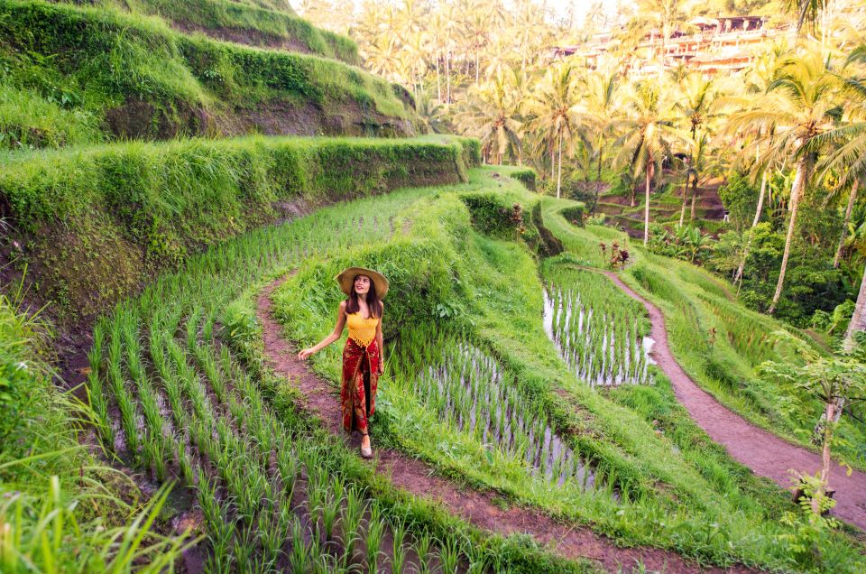 Bali: Aloha Ubud Swing With Optional Day Trip and Activities - Key Points