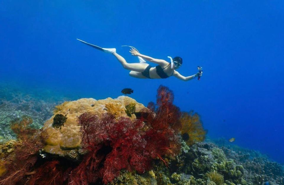 Bali: Amed, Jemeluk & Lipah Beach Snorkeling Adventure - Exploring the Japanese Shipwreck