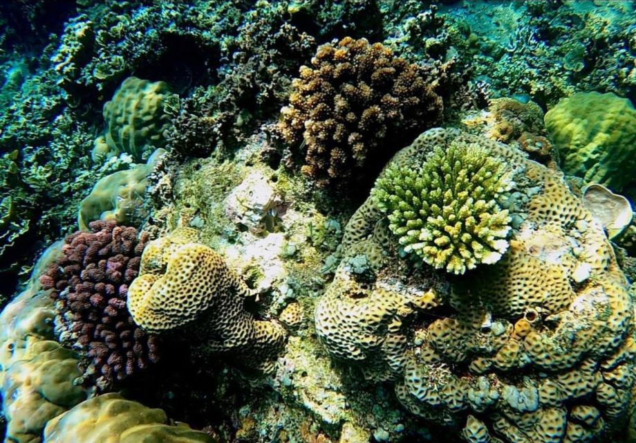 Bali: Amed, Jemeluk & Lipah Beach Snorkeling Adventure - Convenient Pick-up and Drop-off