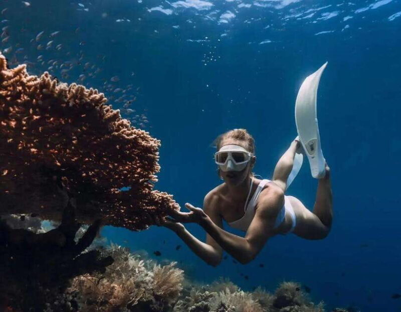 Bali/Amed: Underwater Temple Snorkeling Experience - A Closer Look at the Itinerary and Sites